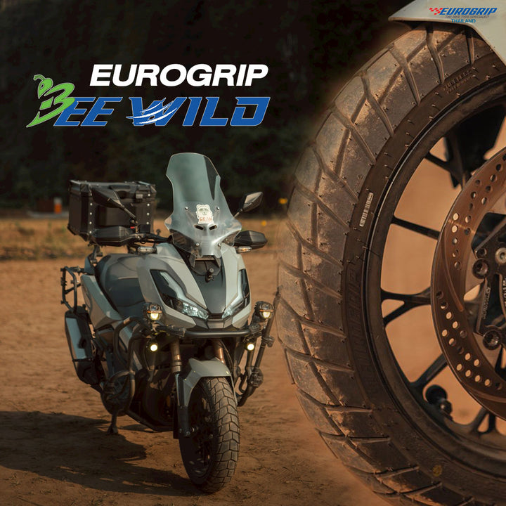 ยางนอก EUROGRIP BEE WILD  M/S 70/30
